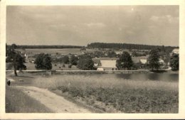 Housko na historických pohlednicích