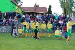 15. kolo     VYSOČANY   :   VILÉMOVICE     1   :   0     ( 1   :   0 )