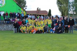 15. kolo     VYSOČANY   :   VILÉMOVICE     1   :   0     ( 1   :   0 )
