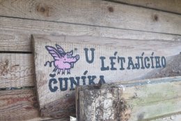 Podzimní výprava 