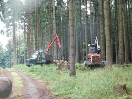 Lesnický den se Steelpark