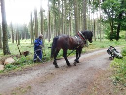 Lesnický den se Steelpark