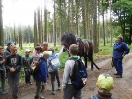 Lesnický den se Steelpark