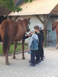 Chov koní - projektové vyučování