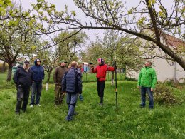 Učili jsme se, jak pečovat o stromy