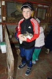 JARNÍ MLÁĎÁTKA NA STATKU VE VYSOČANECH