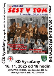 Divadelní představení ŠEST V TOM