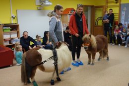 MARTIN NA BÍLÉM KONI - ODPOLEDNE PRO RODIČE S DĚTMI