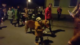 MARTIN NA BÍLÉM KONI - ODPOLEDNE PRO RODIČE S DĚTMI